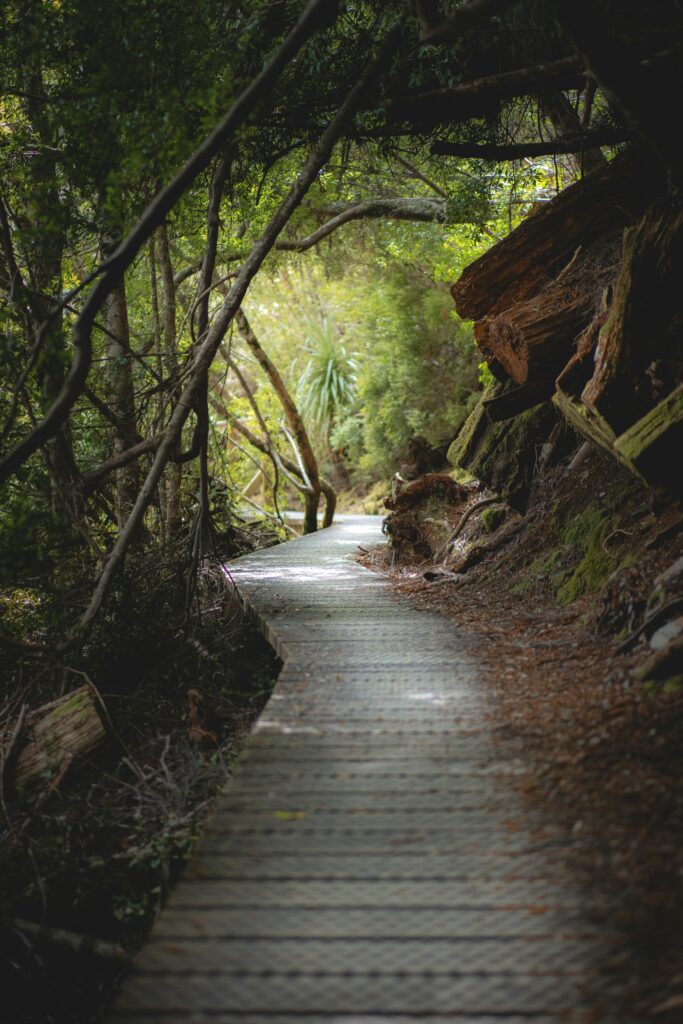 brandon atchison vqgxvsqmw6m unsplash brandon atchison vqgxvsqmw6m unsplash